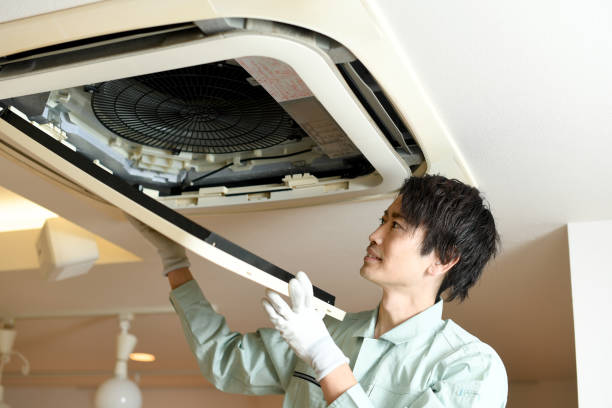 Best Dryer Vent Cleaning Services  in Roberta, GA